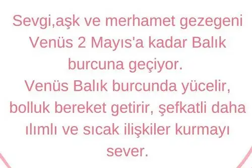 balık4a (2).webp