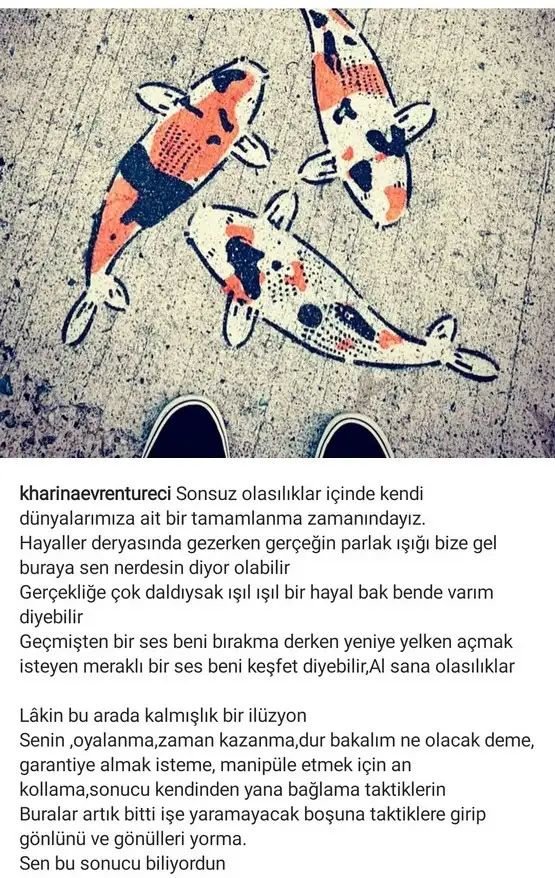 balık5 (1).webp