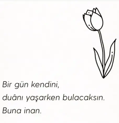 balık5 (1).webp