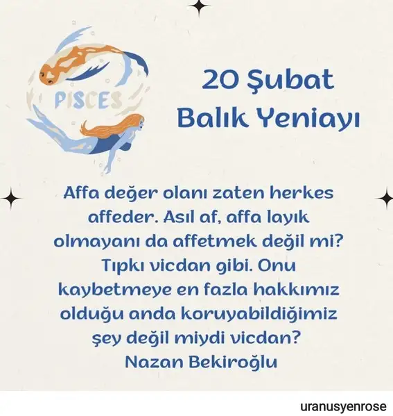 balık5 (1).webp