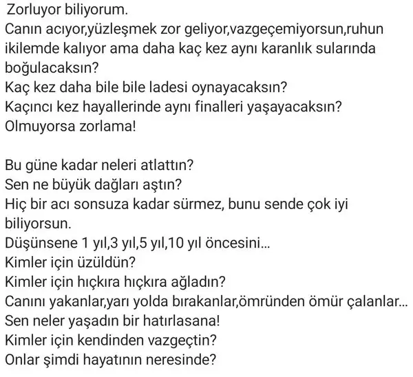 balık5 (2) - Kopya.webp