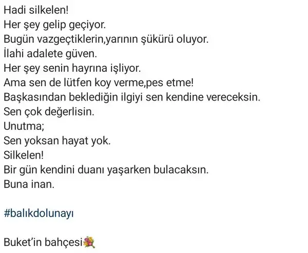 balık5 (2).webp