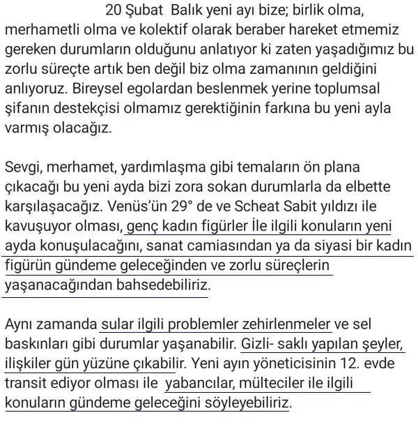 balık5 (2).webp