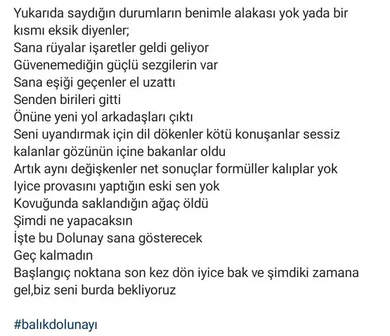 balık5 (3).webp