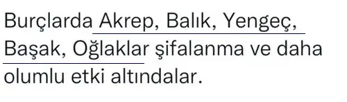 balık5 (5).webp