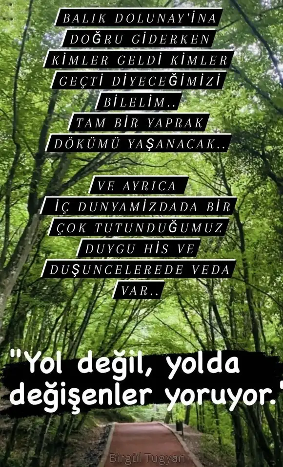 balık5.webp