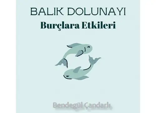 balık6 (1).webp