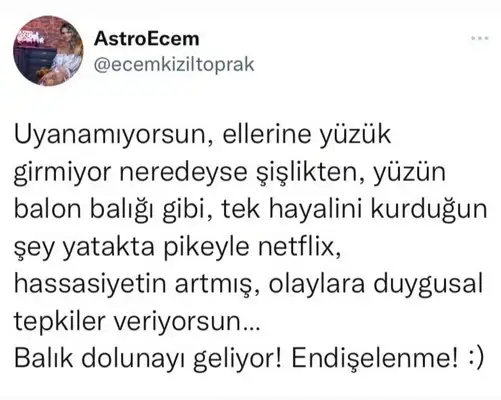 balık6 (1).webp