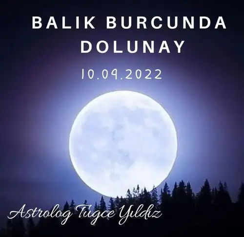 balık6 (1).webp