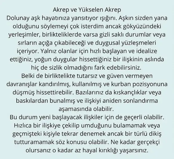 balık6 (10).webp