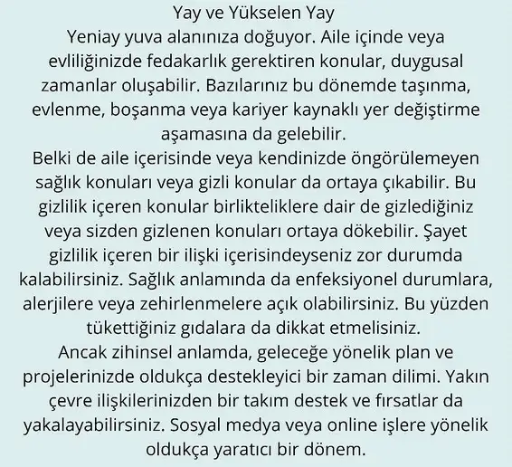 balık6 (11).webp