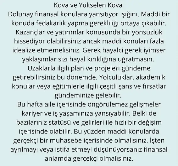 balık6 (13).webp