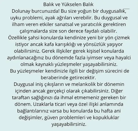 balık6 (14).webp