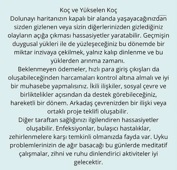 balık6 (2).webp
