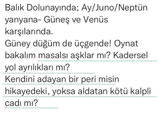 balık6 (2).webp