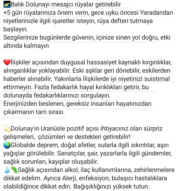 balık6 (2).webp