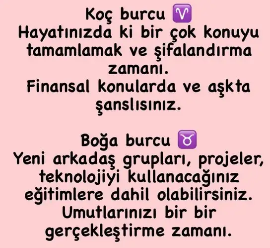 balık6 (2).webp
