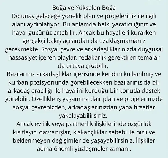 balık6 (3).webp