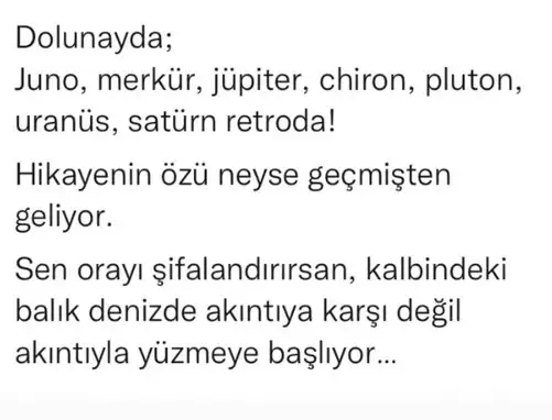 balık6 (3).webp