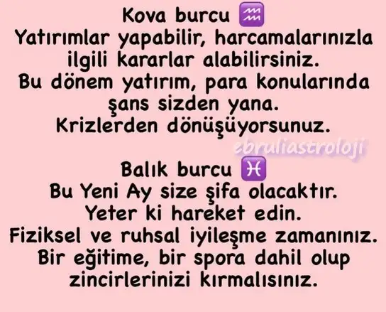 balık6 (7).webp