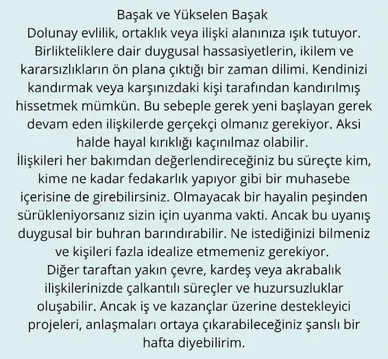 balık6 (8).webp