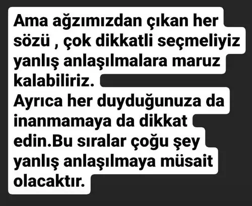 balık6 (8).webp