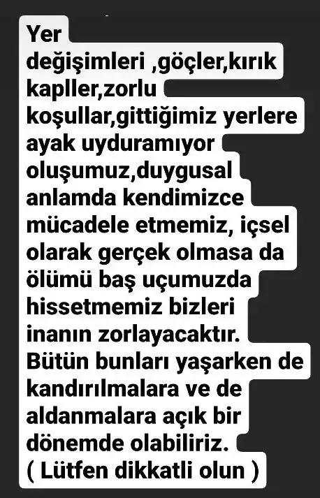 balık6 (9) - Kopya.webp