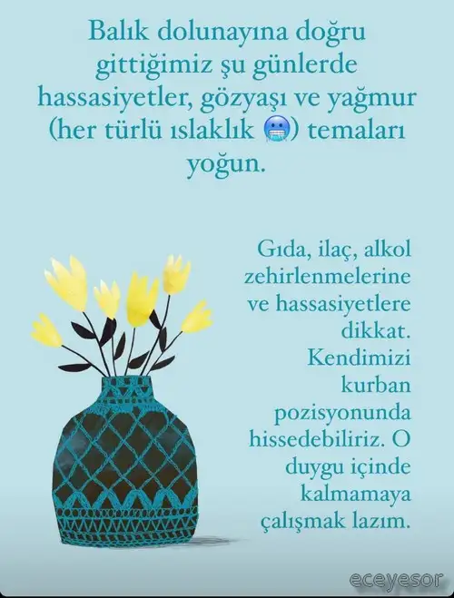 balık6.webp