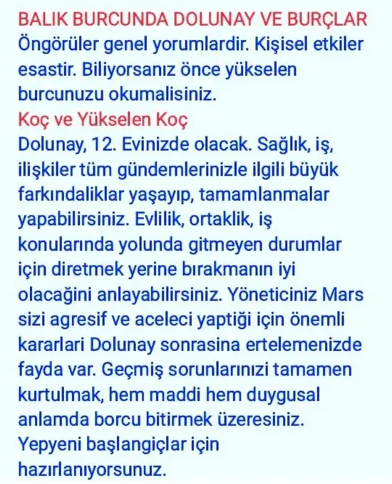 balık7 (1).webp