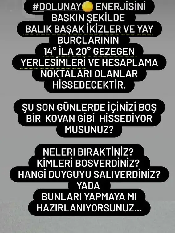balık7 (1).webp