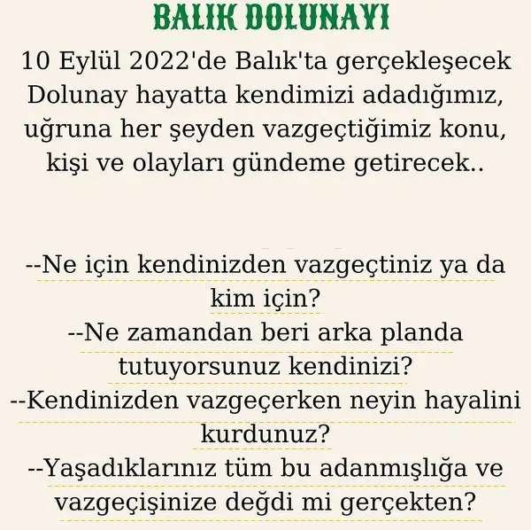 balık7 (1).webp