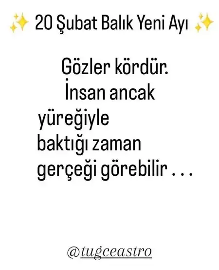 balık7 (1).webp