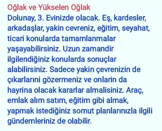 balık7 (10).webp