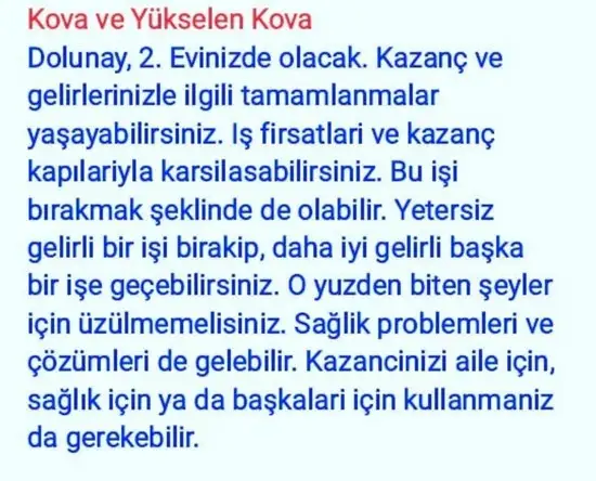 balık7 (11).webp