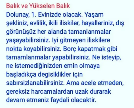 balık7 (12).webp