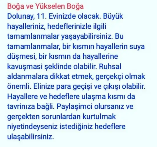 balık7 (2).webp