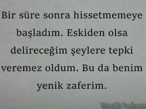 balık7 (2).webp