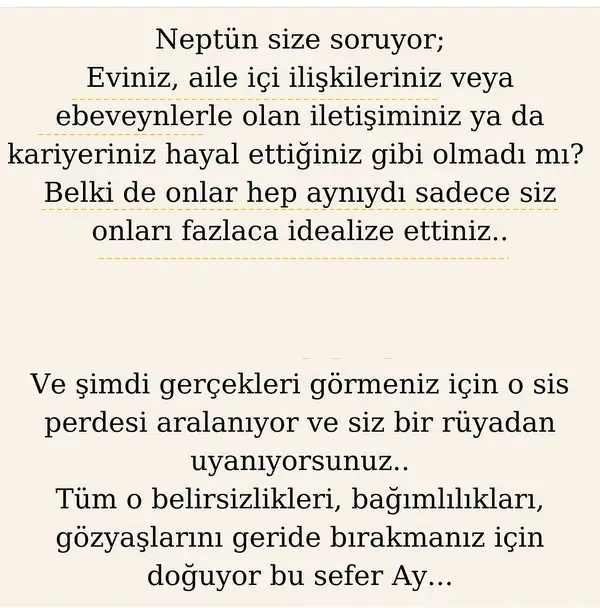 balık7 (2).webp