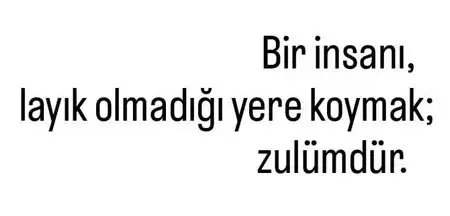 balık7 (2).webp
