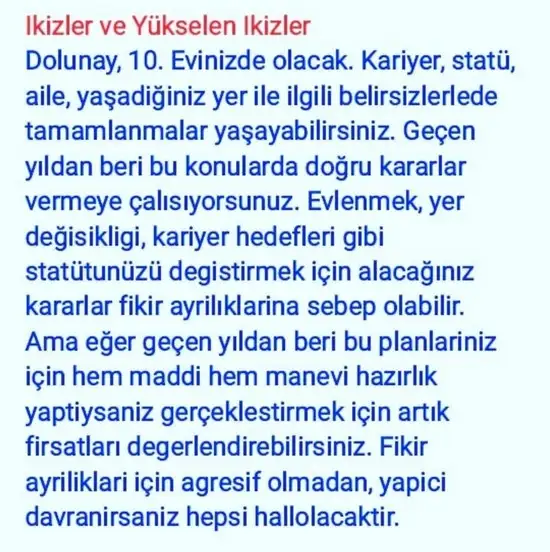 balık7 (3).webp