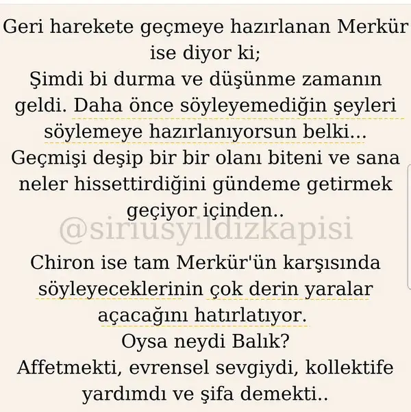 balık7 (3).webp