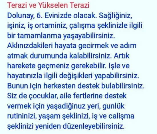 balık7 (7).webp