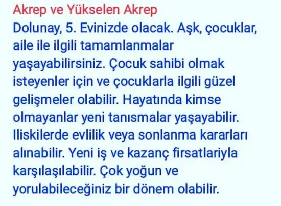 balık7 (8).webp