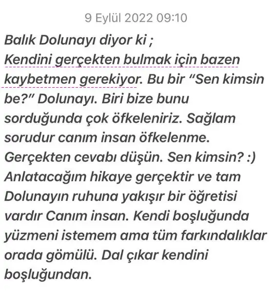 balık8 (3).webp