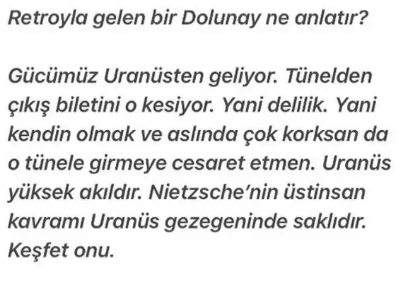 balık8 (4).webp