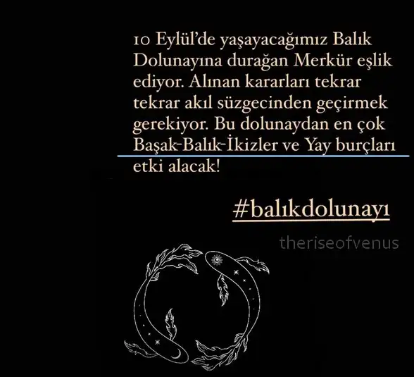balık8.webp