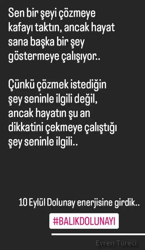balık8.webp