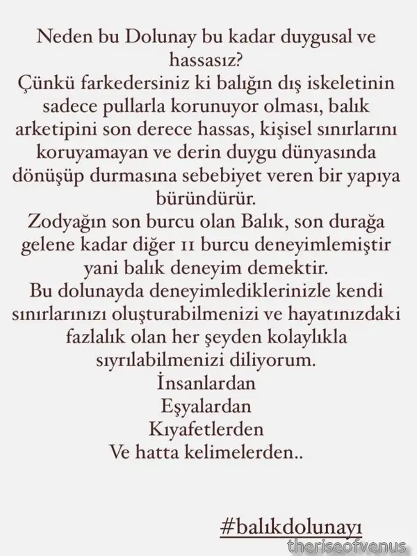 balık8.webp