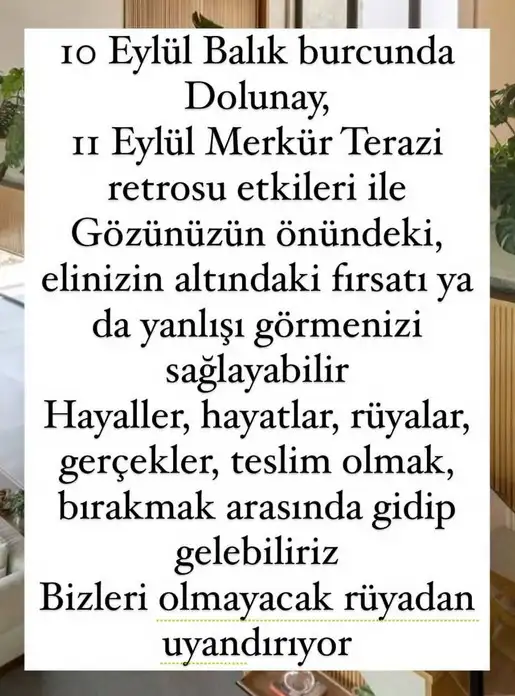 balık9 (1).webp