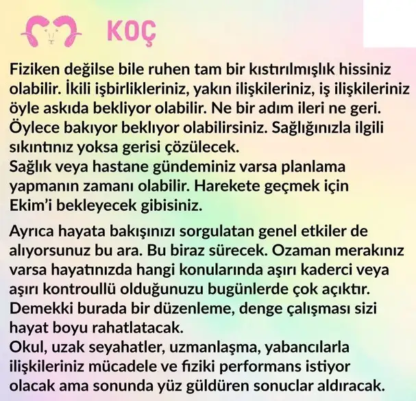 balık9 (1).webp